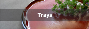 Trays
