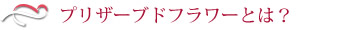 プリザーブドフラワーとは？