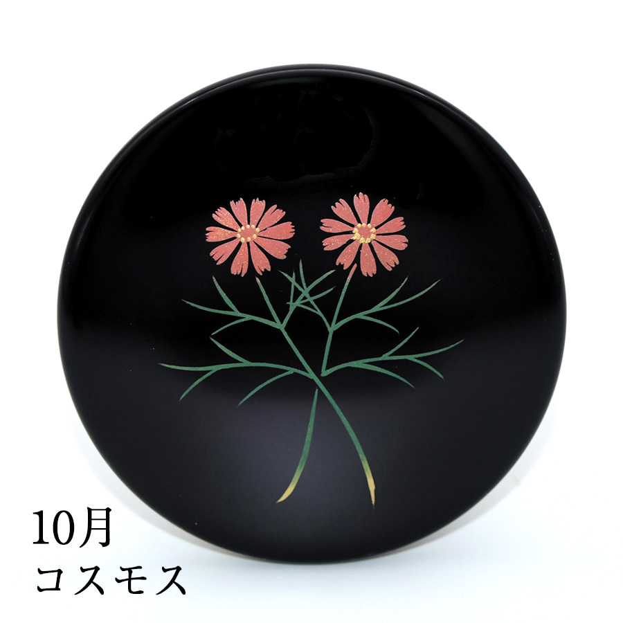 10月 コスモス