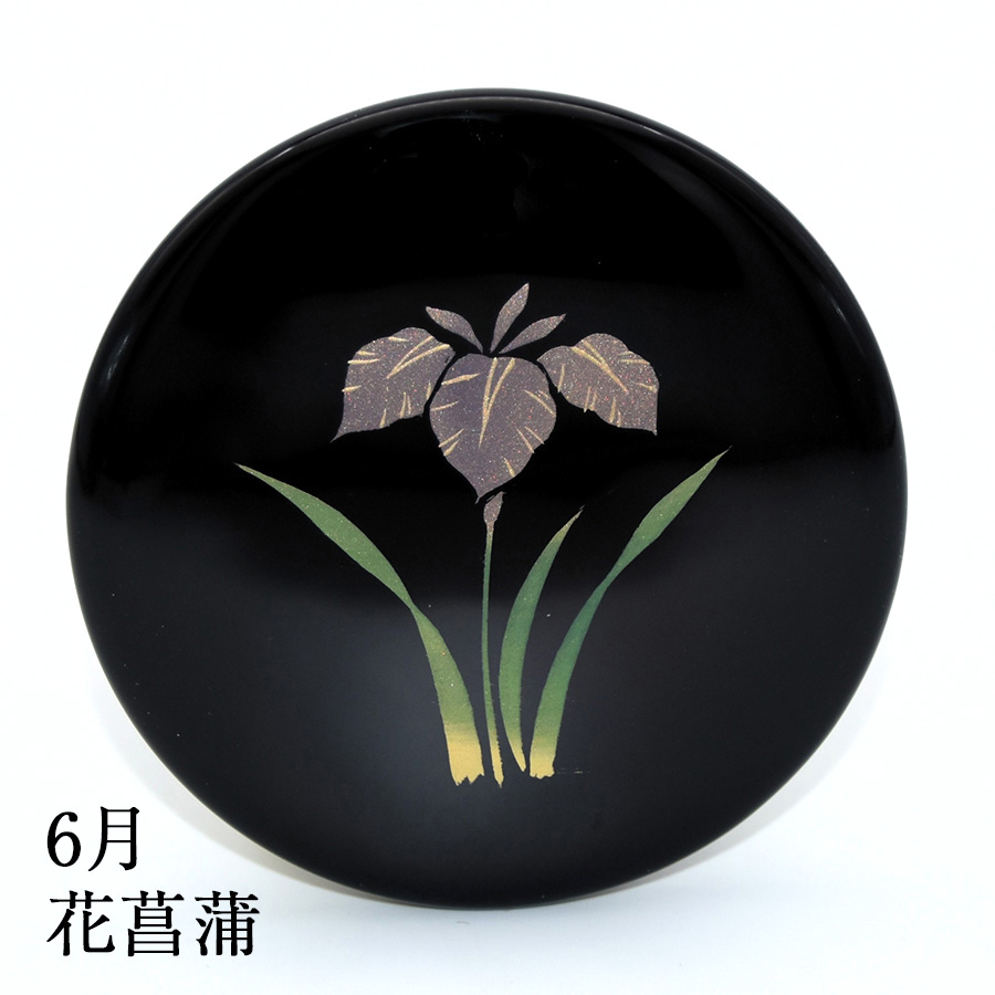 6月 花菖蒲