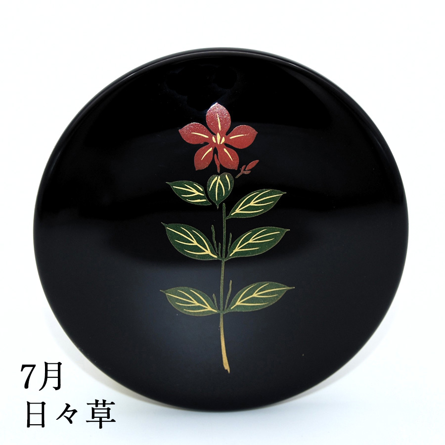 7月 日々草
