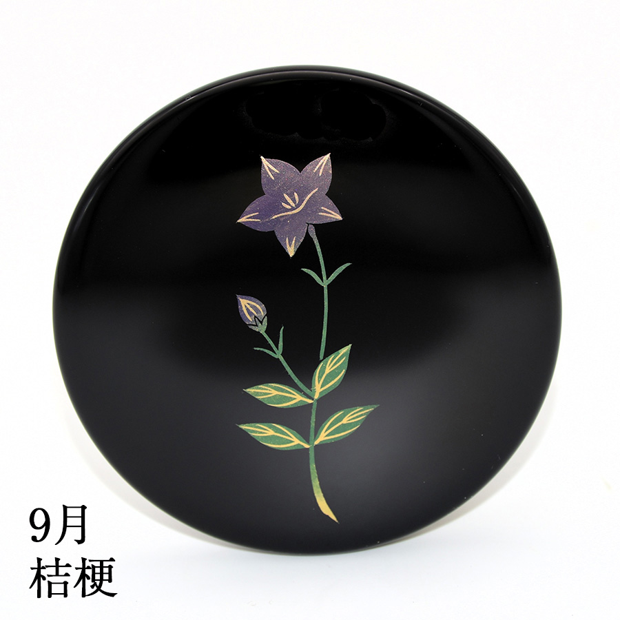9月 桔梗