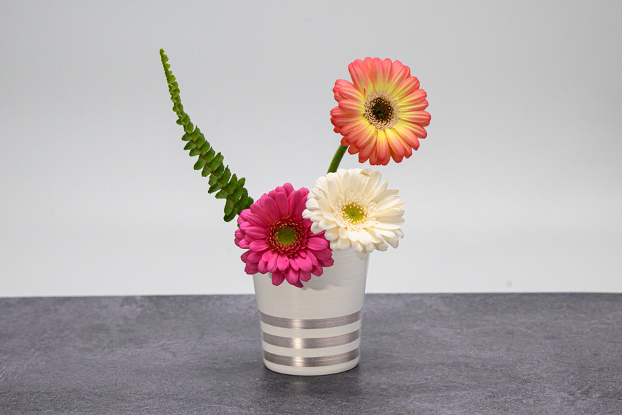 フリーカップ ハケ目 金ライン/銀ライン